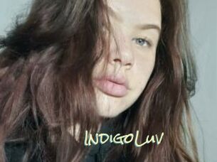 IndigoLuv