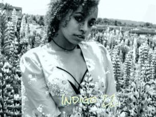 Indigo_22