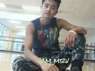 Iam_mrv