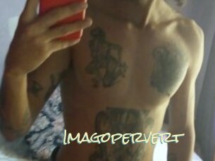 Imagopervert