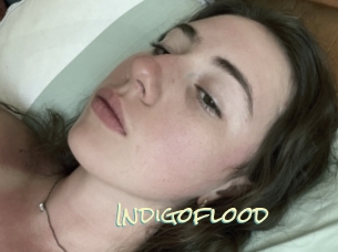 Indigoflood