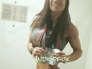 Indigofox
