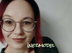 Inezmodel