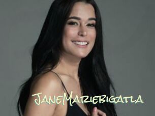JaneMariebigatla Porn Monkey Cash