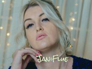 JaniFlue