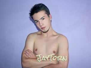 JayTorn Porn Monkey Cash