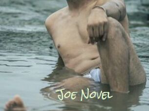 Joe_Novel