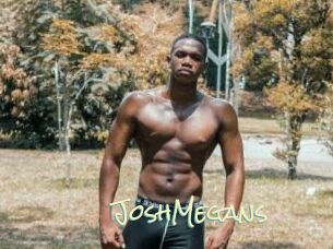 JoshMegans