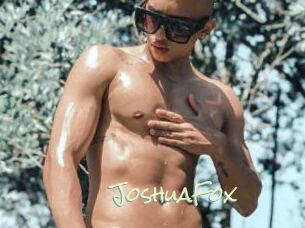 JoshuaFox