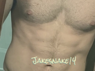 Jakesnake14