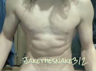 Jakethesnake312