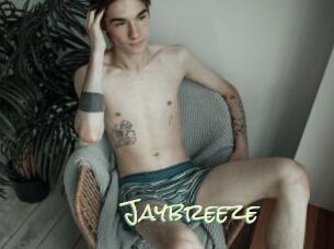 Jaybreeze