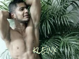KLEINX