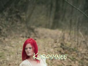 Kerosynee
