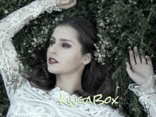 KingaBox