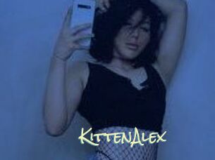 KittenAlex