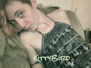 KittyBird