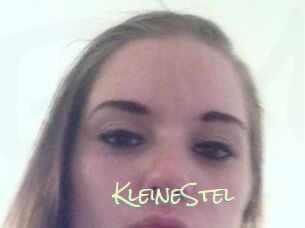 KleineStel