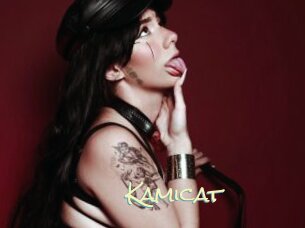 Kamicat