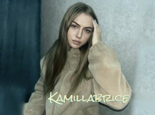 Kamillabrice
