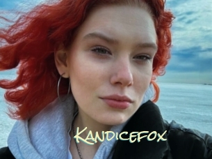 Kandicefox