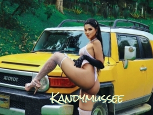 Kandymussee