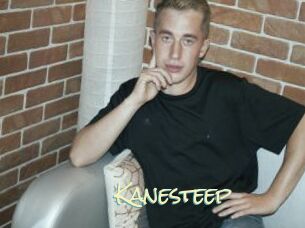 Kanesteep