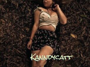 Kanndycatt