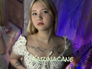 Karinacane