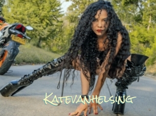 katevanhelsing Porn Monkey Cash