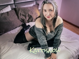 Kattisnow