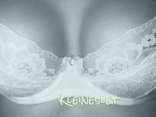 Kleineslet