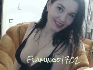 Flamingo1702