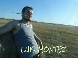 LUIS_MONTEZ