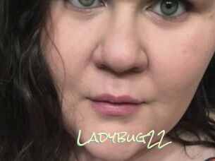 Ladybug22