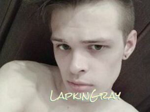 LapkinGray