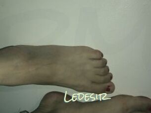 Ledesir