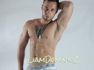 LiamDominicC