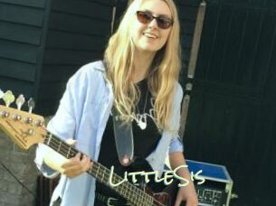 LittleSis