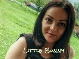 Little_Bunny_