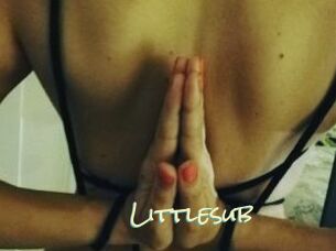 Littlesub