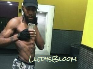 Lledys_Bloom