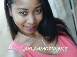 Laylahmorgane