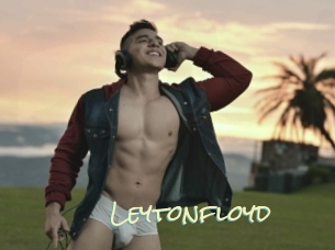 leytonfloyd Porn Monkey Cash