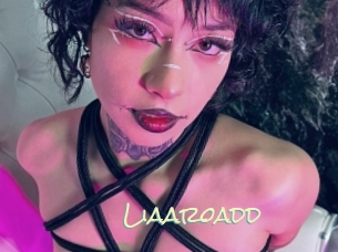 Liaaroadd