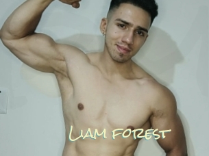 Liam_forest