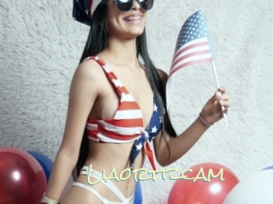 Liaortizcam