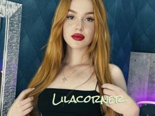 Lilacorner