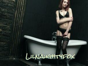 Lilnaughtyfox