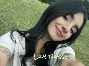 Lily_rosse